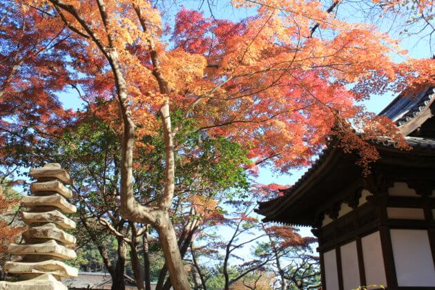 Old good Japanese garden in Yokohama
